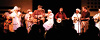 Annual Jug Band Festival