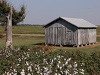 Barn Brownsville