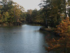 Tennessee Landscape